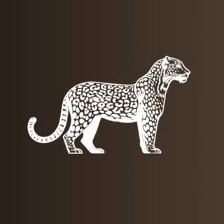 House of Savoy — 夜店